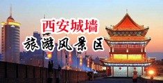 大黑逼插大吊中国陕西-西安城墙旅游风景区